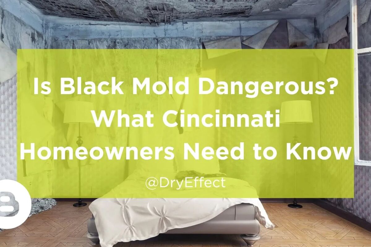 Mold in Cincinnati Homes: A Complete Data Guide (2026)